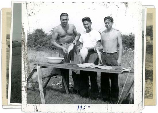 Three men salt fish on a large board with saw horses. 1950 written in the margin
