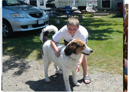 A boy with a brown and white dog. Car in mid-ground, seating areas and camper in background.